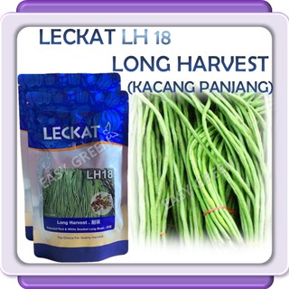 200gm Benih Kacang Panjang Emerald No 5 Long Bean 裴翠5號