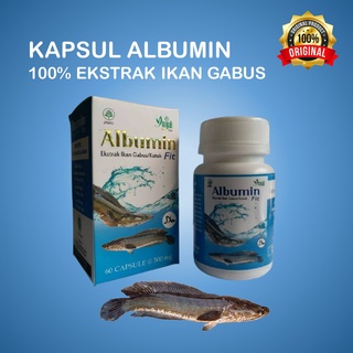 Albumin Fit Capsules Contains 60 Capsules Herbal Cork Fish Extract Healing Wounds And Others