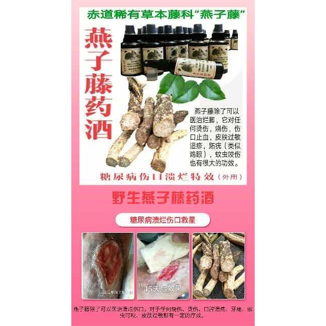 现货】 野生燕子藤药酒100% 正品 Shopee Malaysia