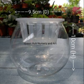  Transparan  Pot  Bunga  Plastik  Vas Tanaman Hidroponik Tetap 