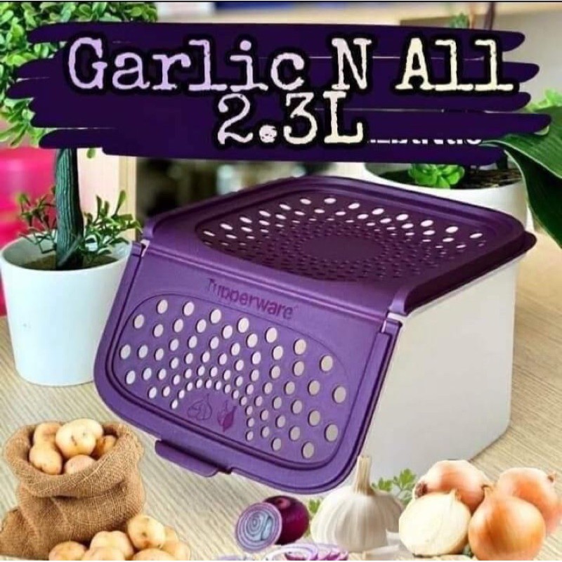 Tupperware Garlic N All Keeper/ Garlic and all keeper/ Bekas