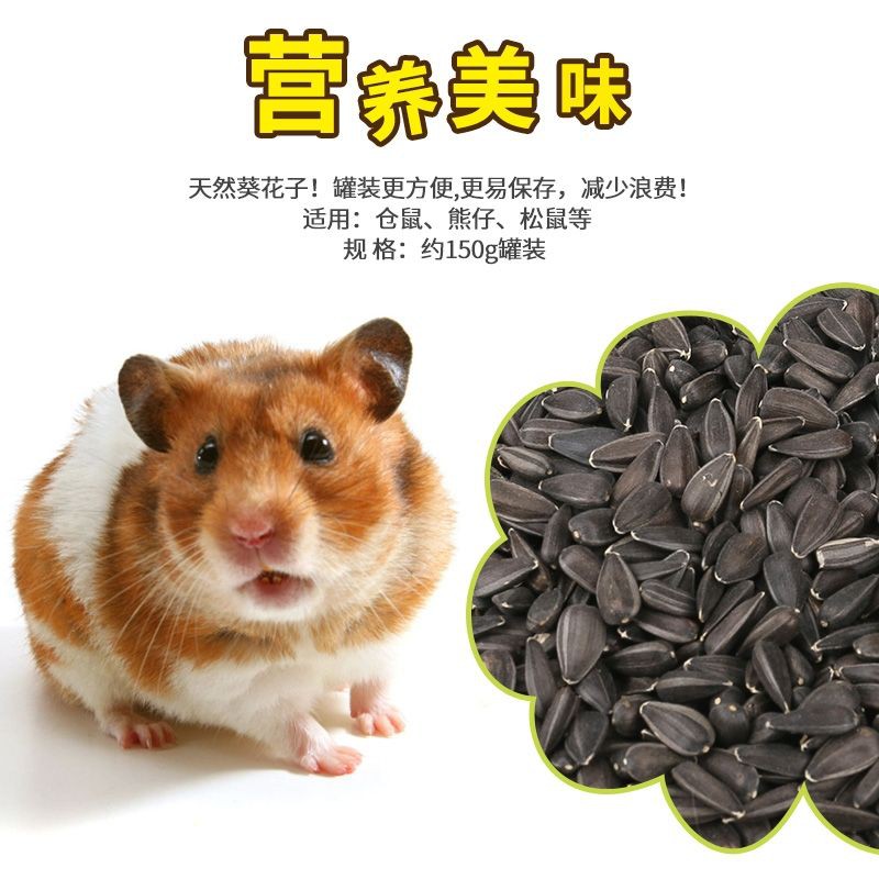 仓鼠最爱葵花子瓜子hamster Sunflower Seeds Shopee Malaysia