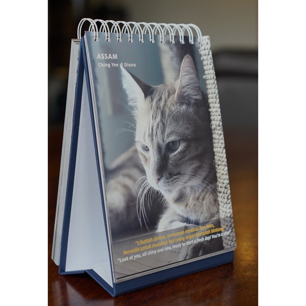 Buku Inspirasi Kucing Pertama Malaysia/Malaysiau0027s First Cat 