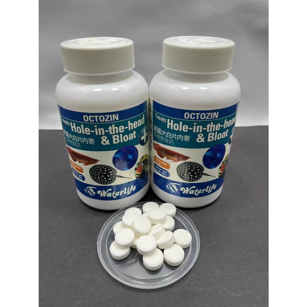 **Ready Stock** Waterlife Octozin Bloat & Hole-in-the-Head Parasite Treatment aquarium ( 1pc )正品英国大白片 鱼病头洞肠炎白便凸眼体内寄生虫