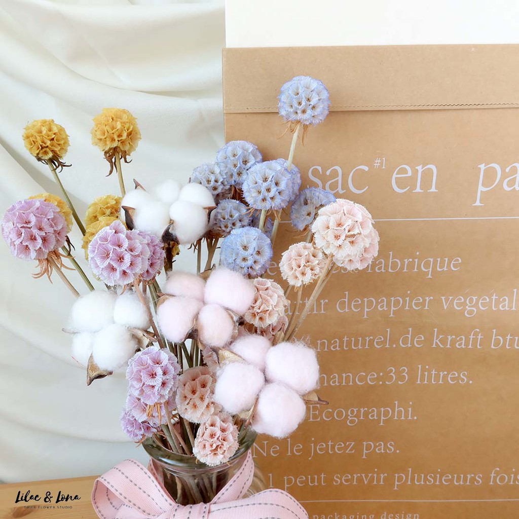 Ready Stock Dried Flower Cotton Scabiosa Rice Flower Preserved Ozothamnus Loose Stalks Home Deco 现货干燥花乾燥棉花摆设拍摄道具