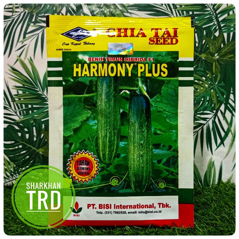 Paket 20-10g HARMONY PLUS Biji Benih Timun Batang Besar Panjang F1 Hybrid Cucumber Seeds Chia Tai Seed Cap Kapal Terbang