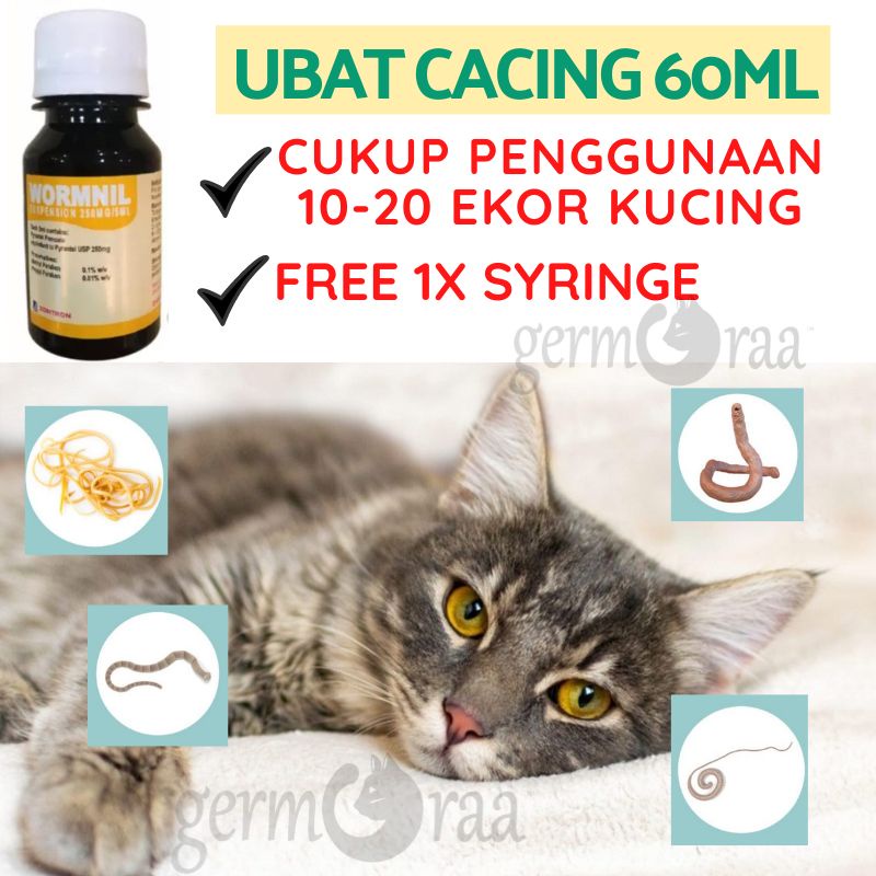 10-20 ekor) Ubat Cacing Kucing Cat kitten adult Anjing Pet Wormnil 