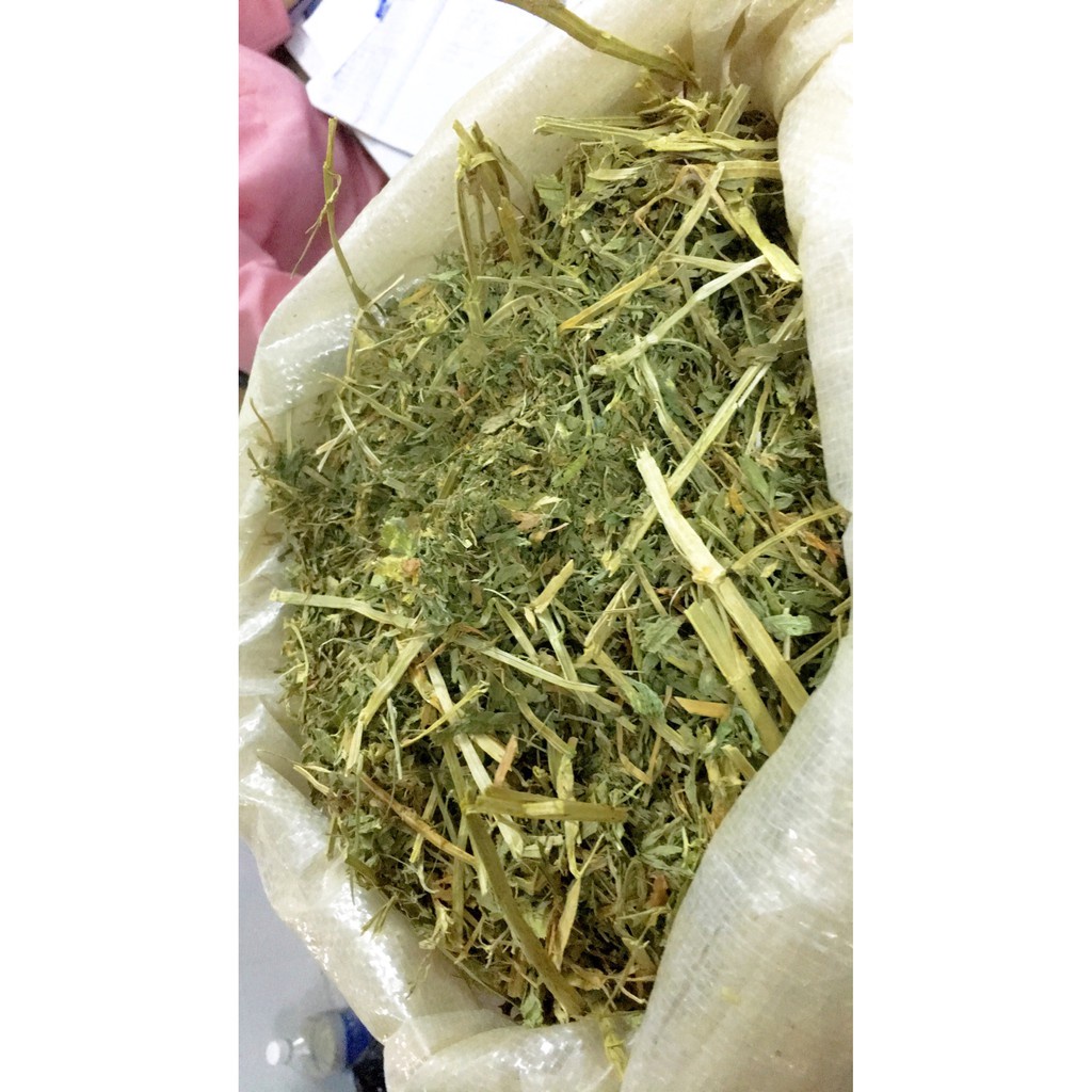 1kg Alfalfa hay for rabbits Shopee Malaysia