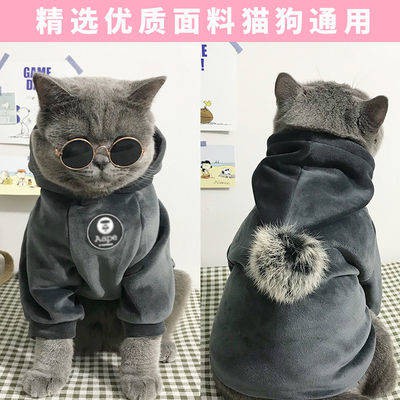 baju kucing cat baju raya kucing Kucing pakaian anjing musim bunga 