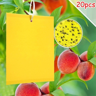 20Pcs Sticky Fly Trap Paper Yellow Traps Fruit Flies Insect Glue