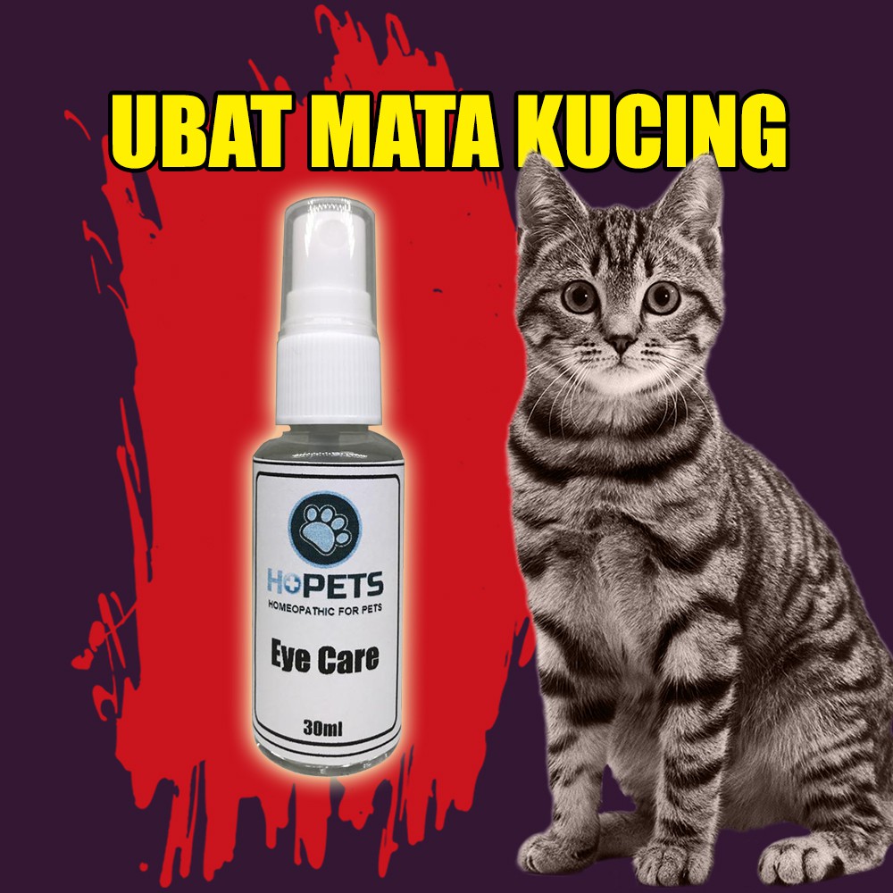 Ubat Mata Kucing - Ubat Sakit Mata Untuk Kucing Spray Homeopathy 30ml
