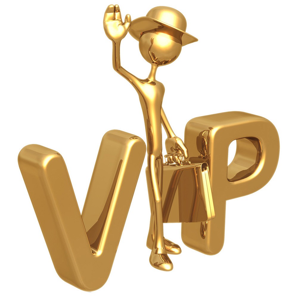 Vviipp.my store logo