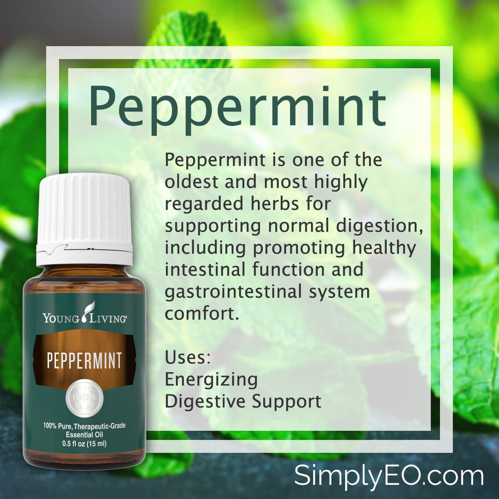 YL Peppermint Essential Oil 15ml | Shopee Malaysia