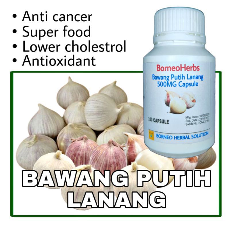 100 kapsul Bawang Putih Lanang Asli Garlic Capsule Powder premium