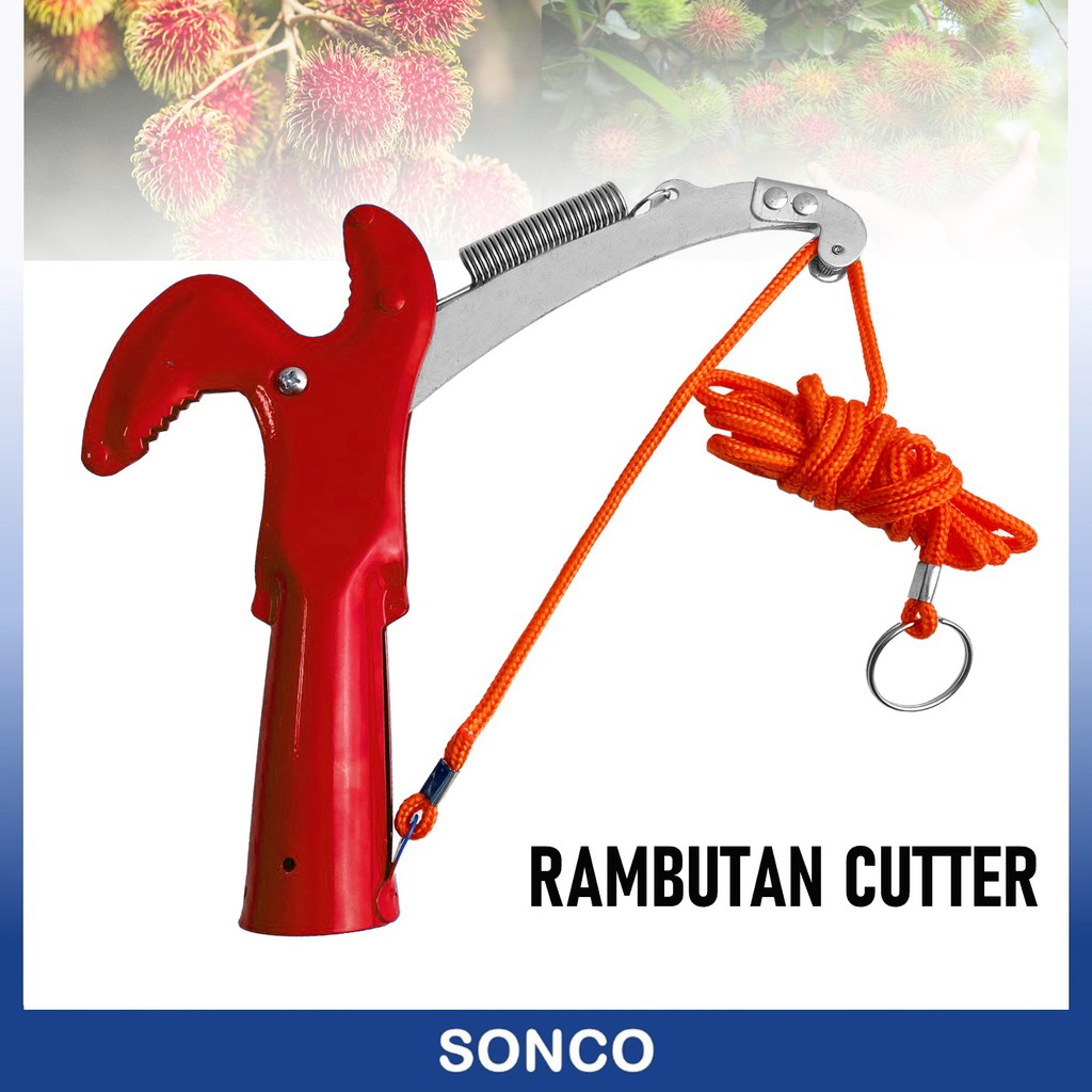 2 Way Rambutan Cutter Tree Pruner Trimmer Shear Rambutan Shear Gunting Kait Buah Gunting 