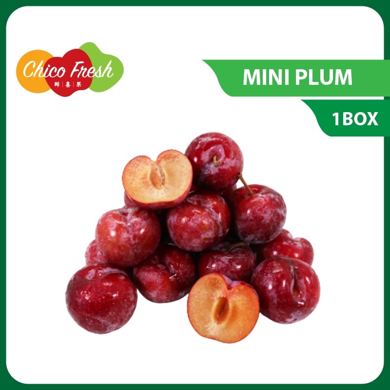 Buy Chico Fresh Mini Plum 1 Box Buah Plum Fresh Fruits Buah Fruit 李子 水果 Seetracker Malaysia
