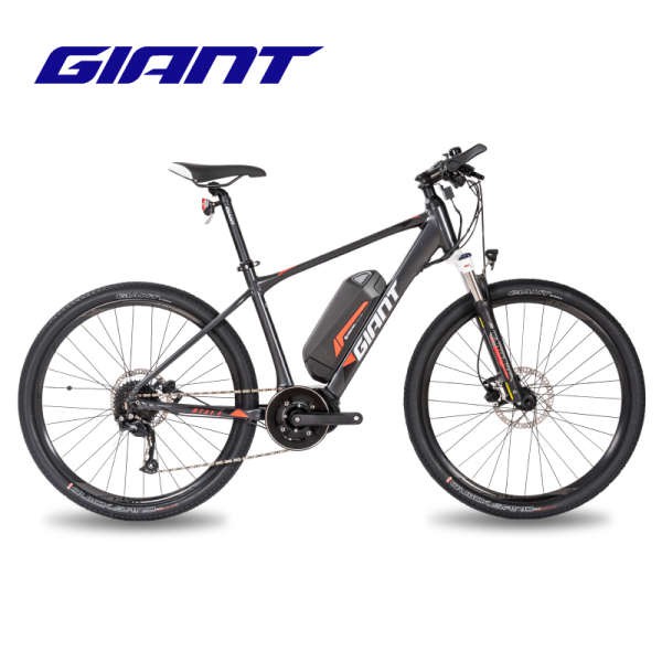 basikal brand giant