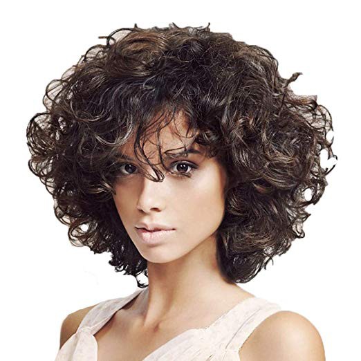 Afro Bob Wig For Brazilian Black Womens Short Curly Hair Full Wig