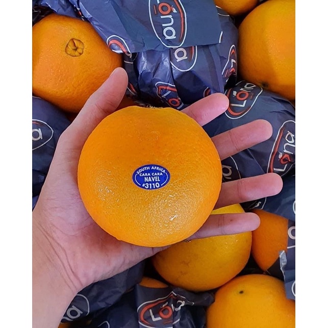 CaraCara Orange Lona from SA Shopee Malaysia