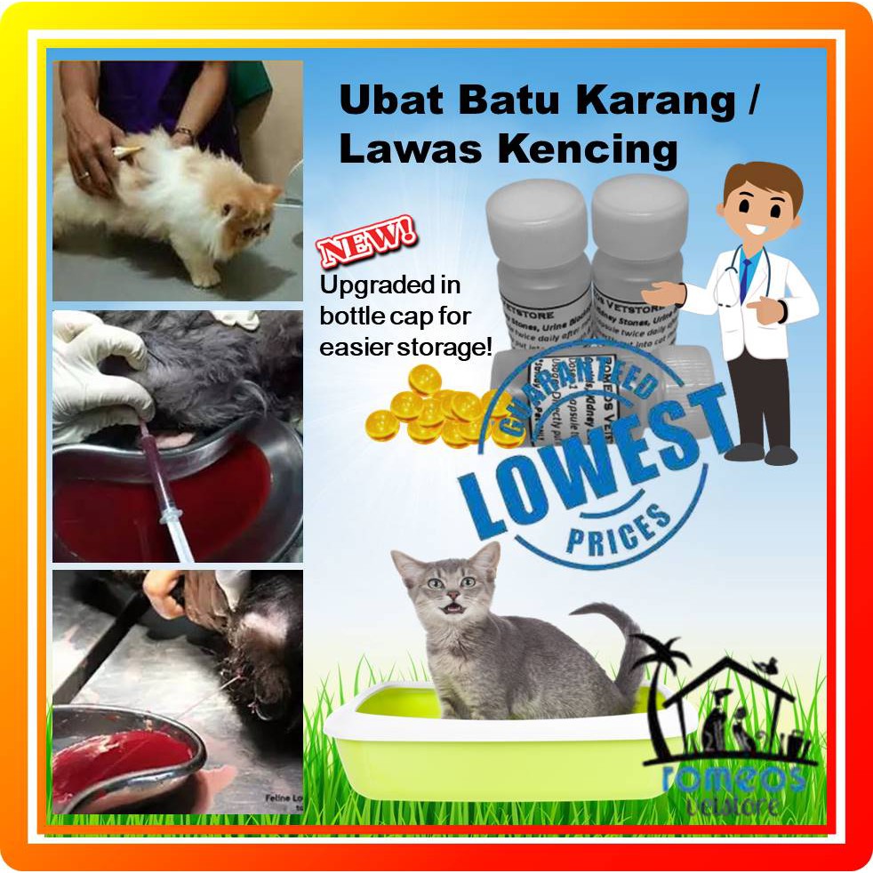 🔥Special Sales🔥Ubat Batu Karang kucing / Urine Stone / Lawas 