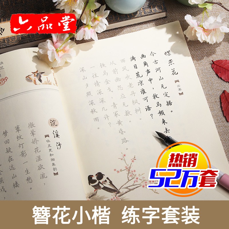 全網熱賣 六品堂字帖女生字体漂亮簪花小楷卫夫人清秀钢笔练字本大学生成人行楷清新硬笔书法古风楷书临摹练字帖成年