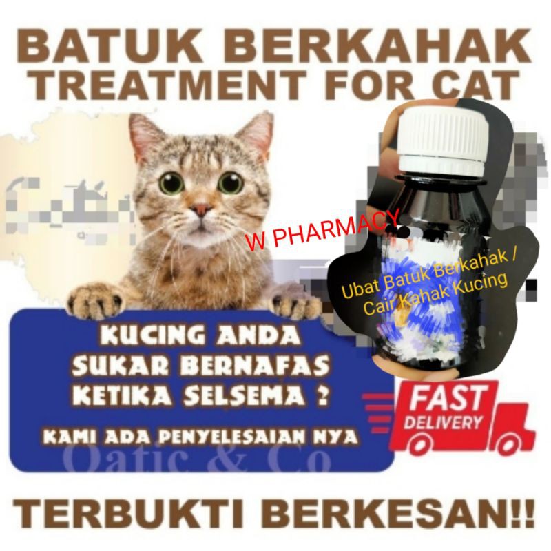 Kucing Batuk Kahak