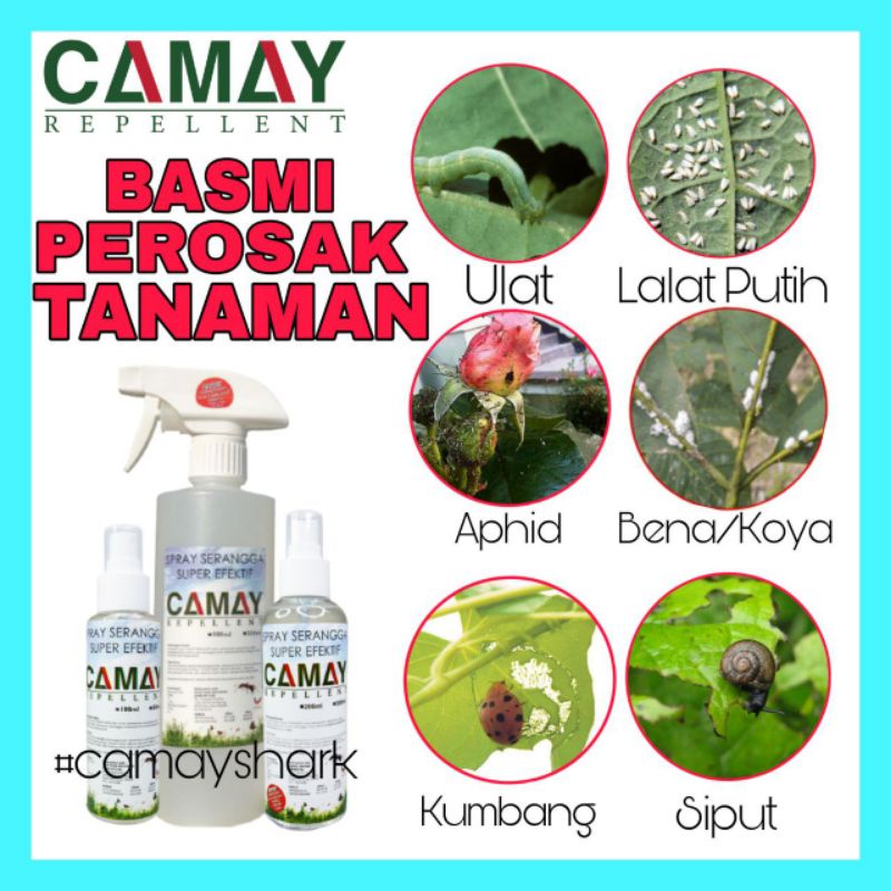 Gambar racun organik spray serangga tanaman