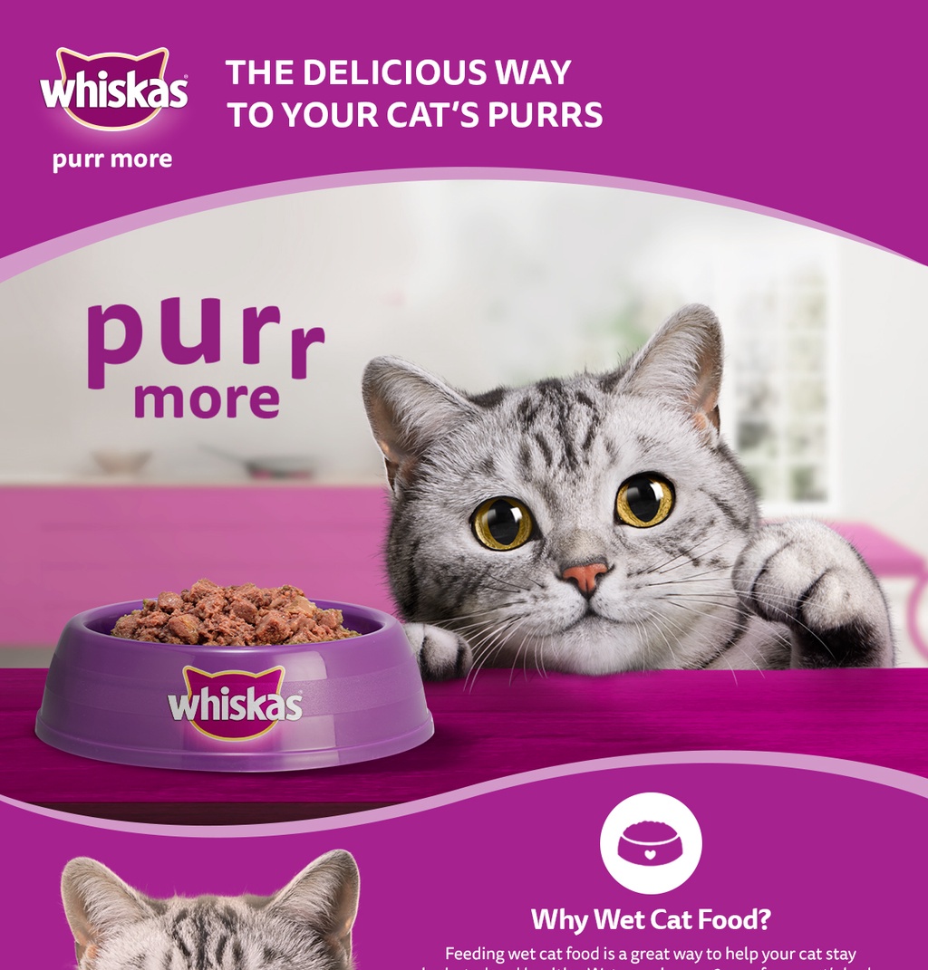 Whiskas Cat Food Can Cat Wet Food in Ocean Fish Flavor for Adult Cats (400g) Shopee Malaysia