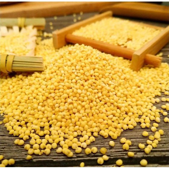 JUSTS ORGANIC STICKY MILLET 1KG