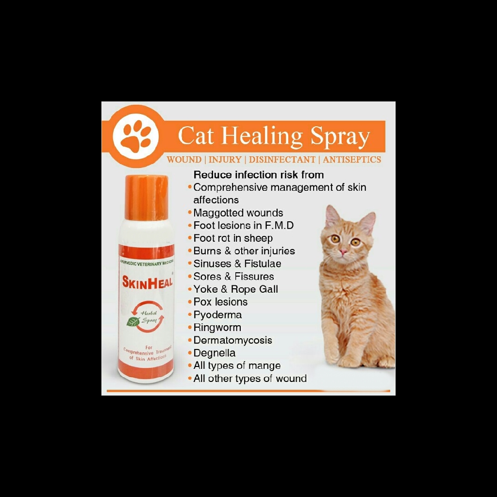 Skin Heal Herbal Spray Pet for Injury u0026 Skin Problems / Skin heal (AEROSOL)  100ml