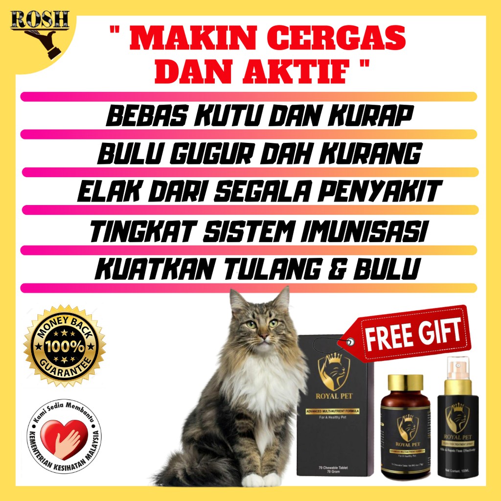 SPECIAL GIFT - ROYALPET VITAMIN KUCING - Makanan Kucing ...