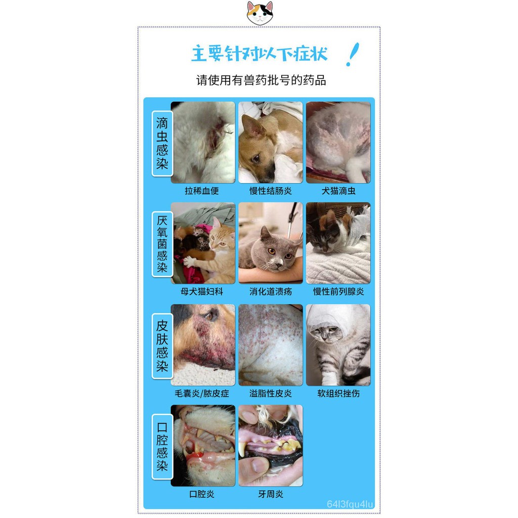 Pet Healthcare Medicine 宠物药品犬猫咪狗狗甲硝唑片滴虫拉肚子拉稀止 