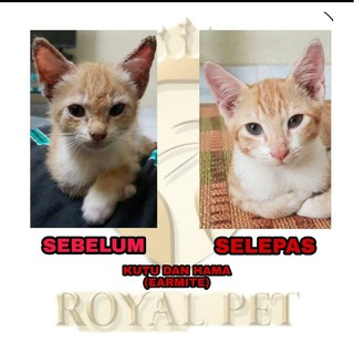 [ TERLAJU !! 1 botol ] Spray Royalpet untuk kucing 