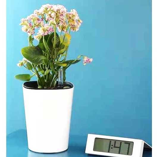 Lazy Flower Pot Minimalist Design With Auto Reflect Water Level Gauge Self Watering Pot 懒人花盆 自动灌溉水位计系列 Ready Stock Shopee Malaysia