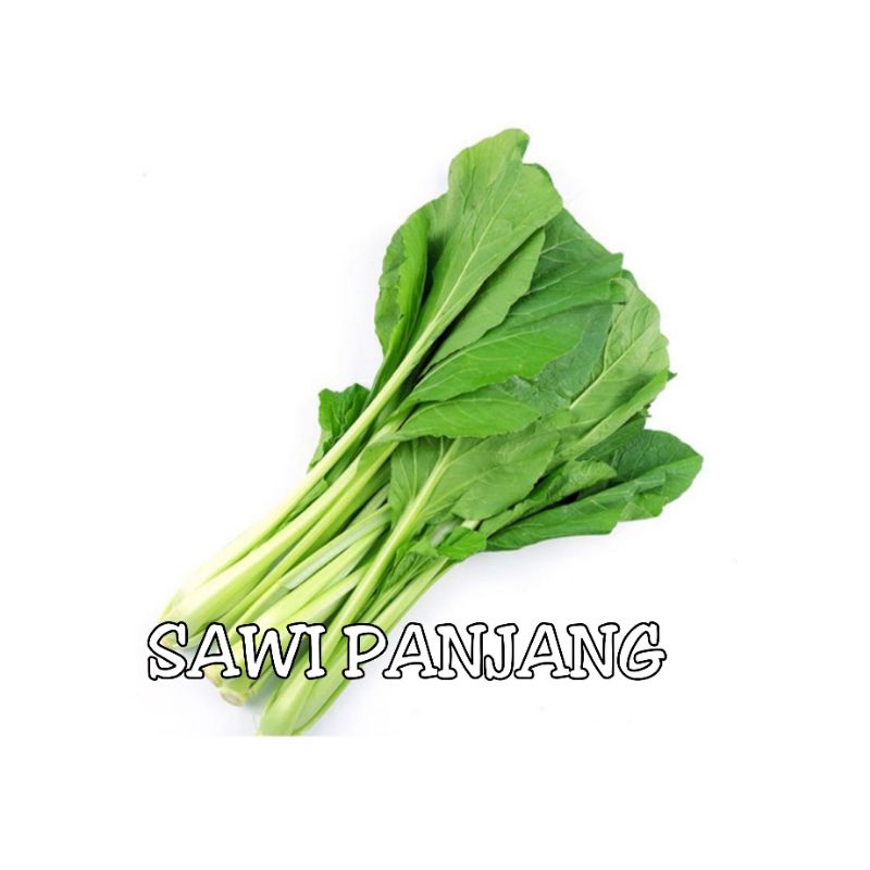 Benih Sayur Sawi Panjang Manis Shopee Malaysia