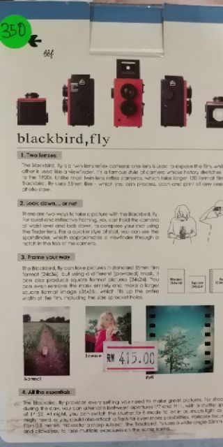 blackbird fly camera pink