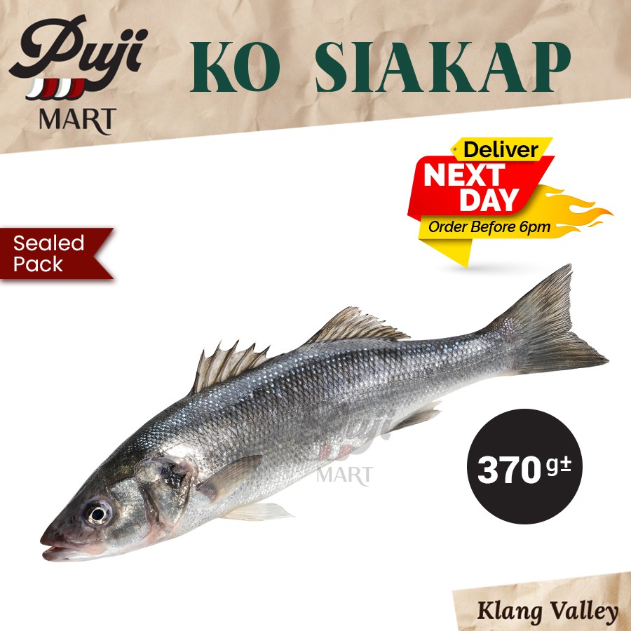 Buy Segar Fresh Siakap 370g 1pc Hantar Kl Selangor Ikan Laut Fish Clam Pasar Puji Mart Seetracker Malaysia