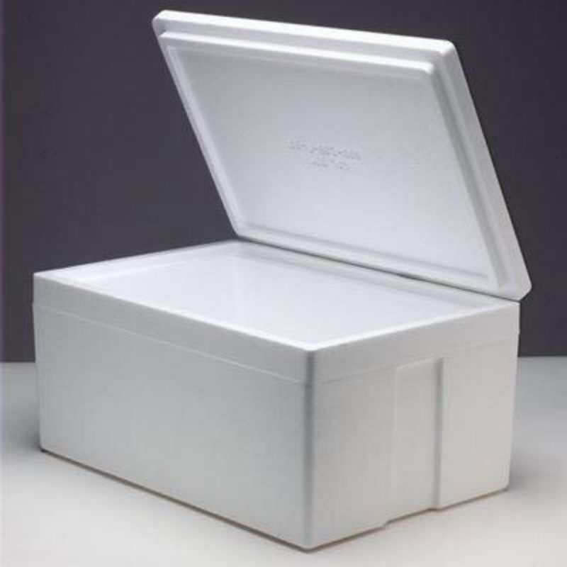 Foam Ice Container Box Ice Putih Polystyrene Polyform | Shopee Malaysia