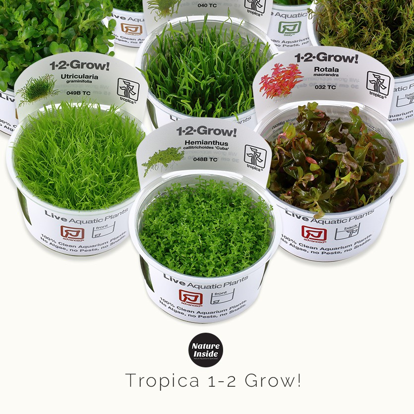 Tropica Prices And Promotions Oct 21 Shopee Malaysia