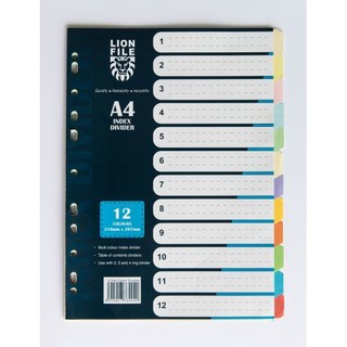 A4 Index Divider / File Index Separator 12 Colors | Shopee Malaysia