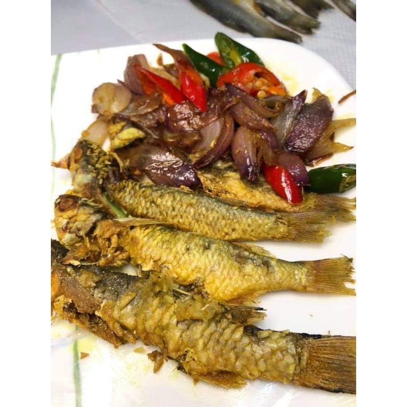 Buy Ikan Kedera Masin Halal Bersih Seetracker Malaysia
