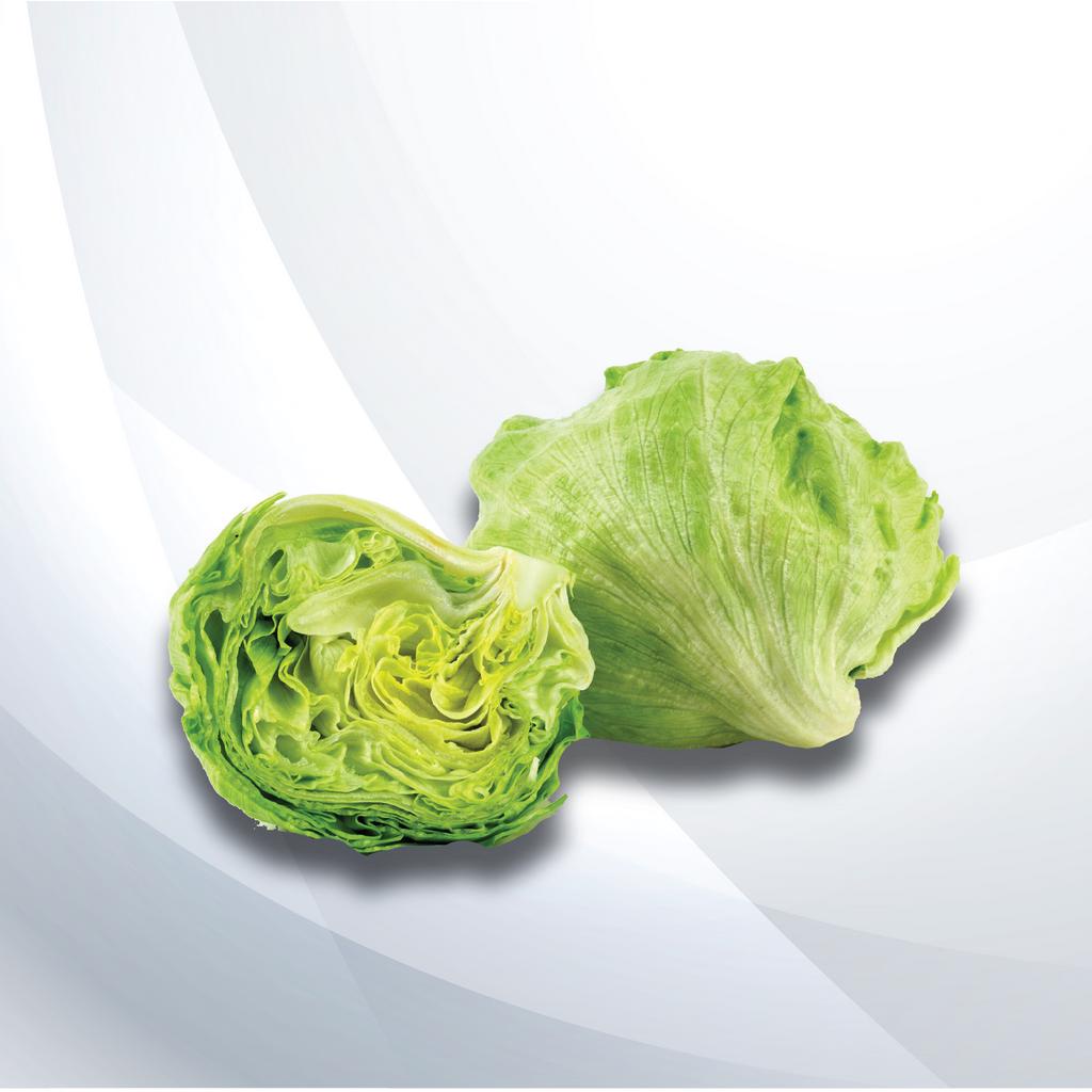 Iceberg Lettuce +/400g Shopee Malaysia