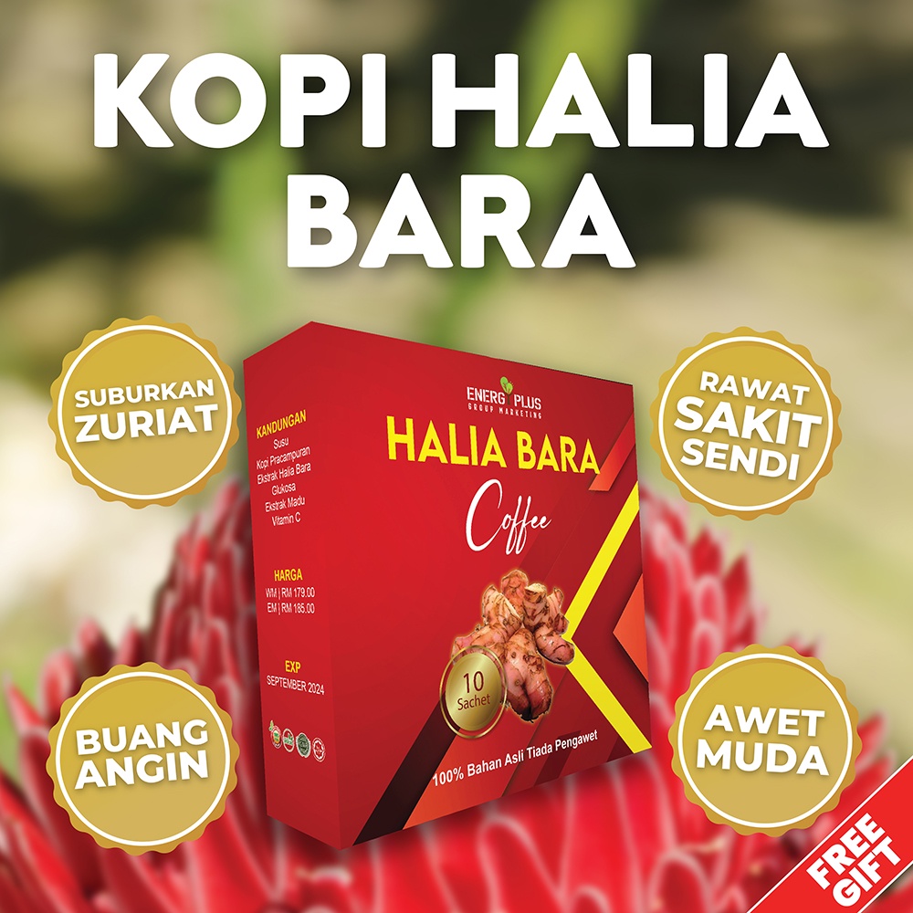 Halia Bara, Halia Bara Merah, Kopi Halia Bara Minuman Kesihatan(angin dalam badan, kolestrol, kurus langsing, awet muda)