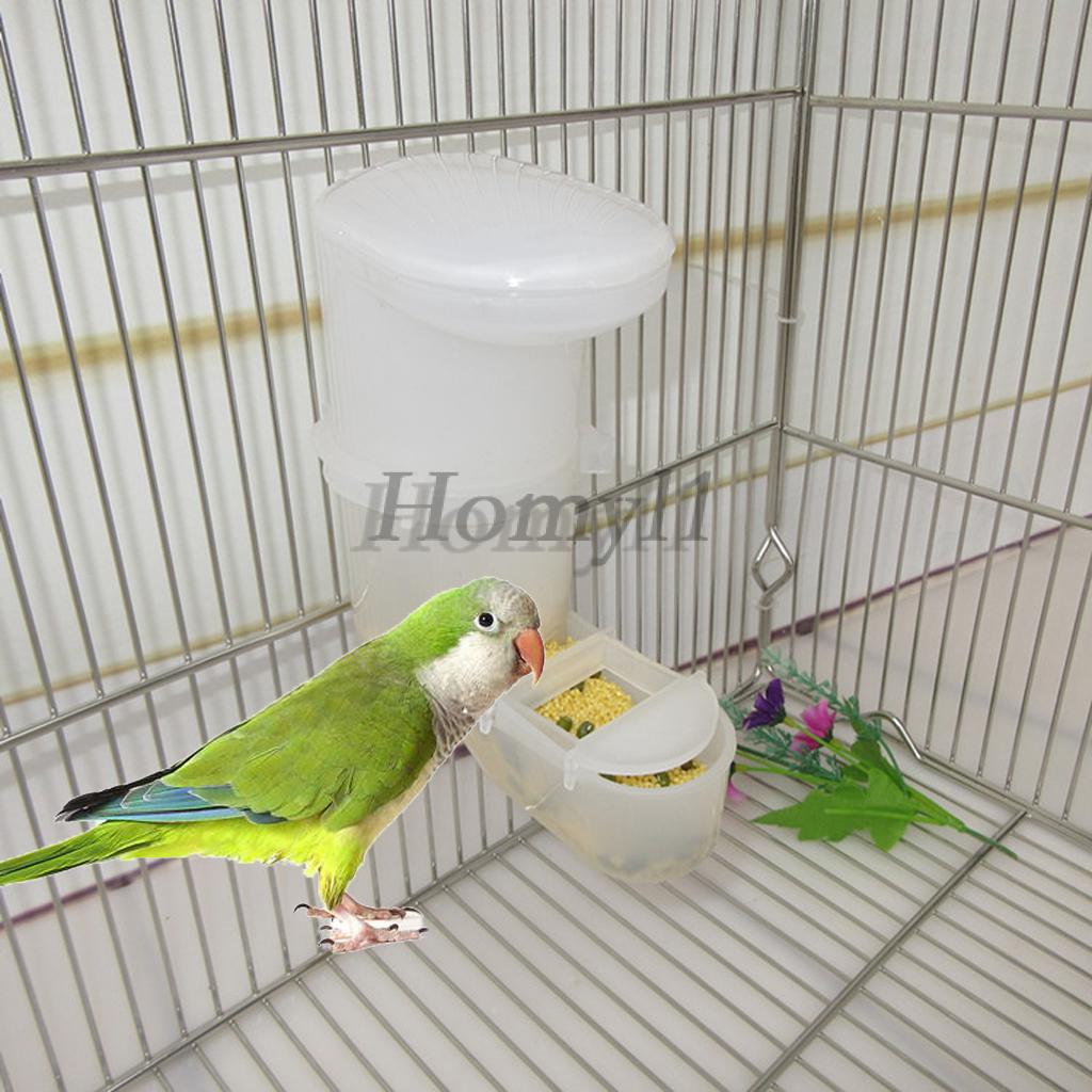 Feeding Watering Supplies Pet Supplies Baoblaze 20 Pcs Automatic