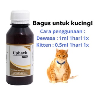 🔥SETIAP HARI POS🔥TEMPAT KUCING CAKAR/ASAH KUKU CAT KITTEN 