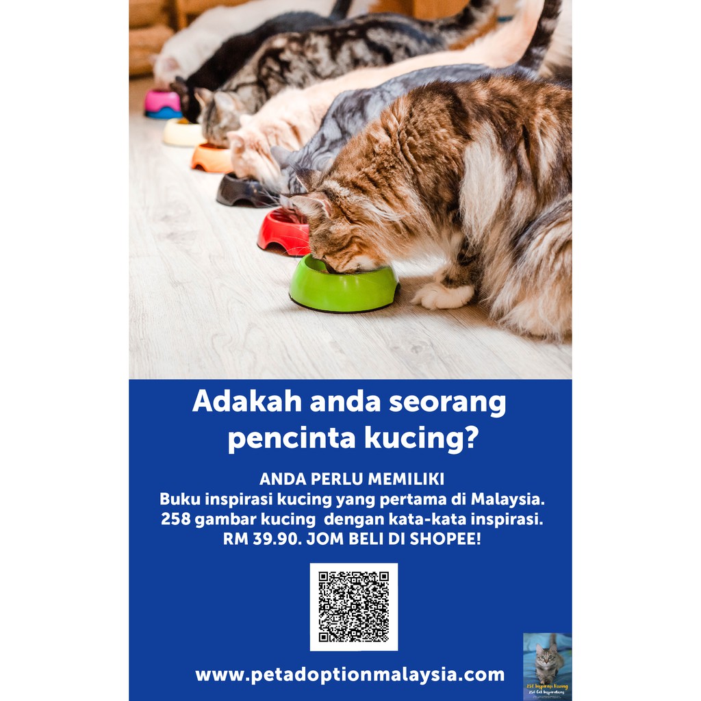 Buku Inspirasi Kucing Pertama Malaysia/Malaysiau0027s First Cat 