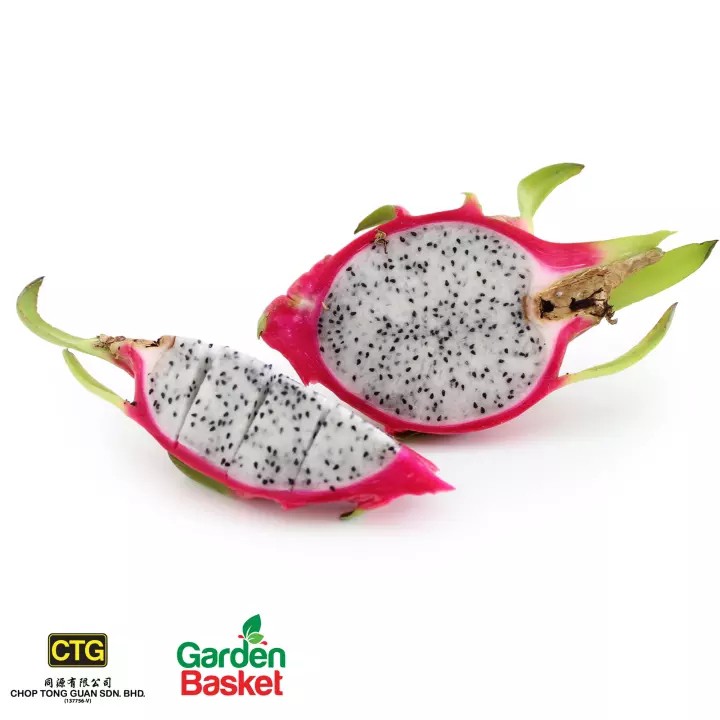 CTG Vietnam White Dragon Fruit 1PC - [Skin health] [Fresh] [Healthy Snack] [Salad making] - Garden Basket