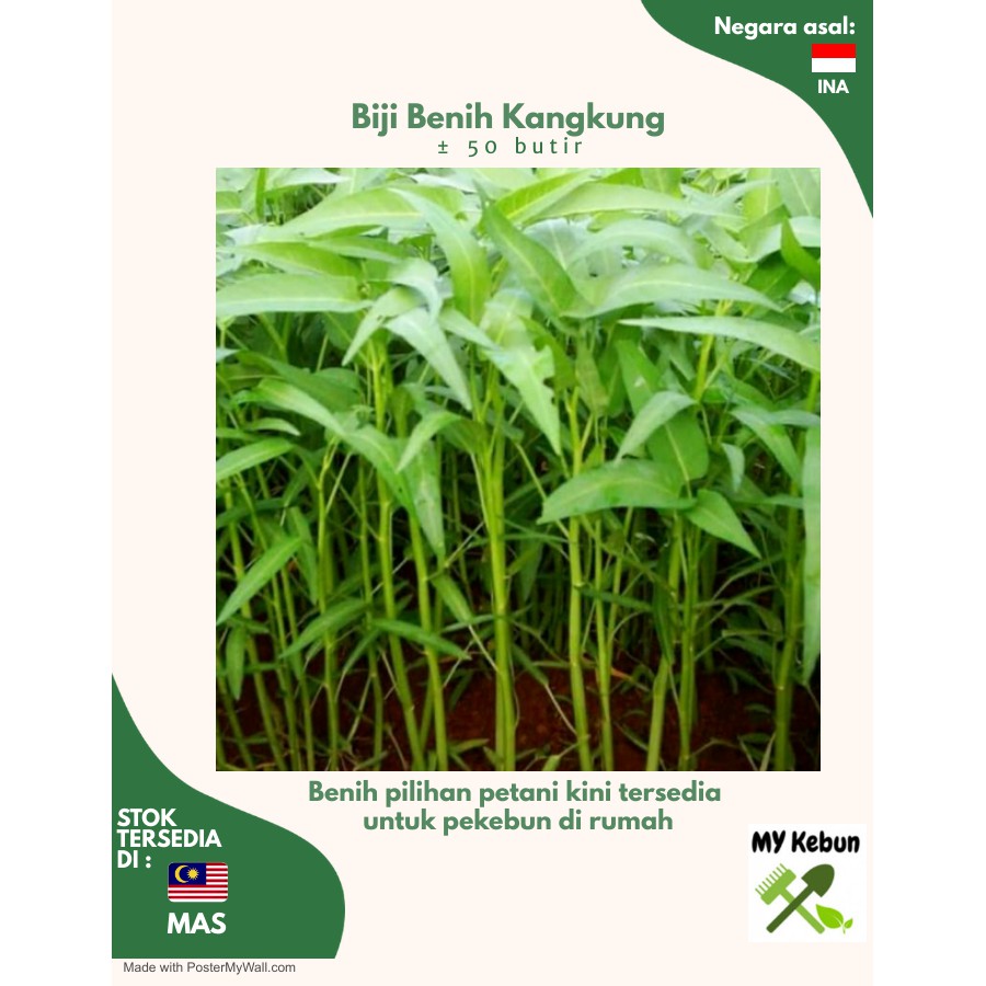 Biji Benih Kangkung Indonesia 50 Butir Water Spinach Seeds Shopee