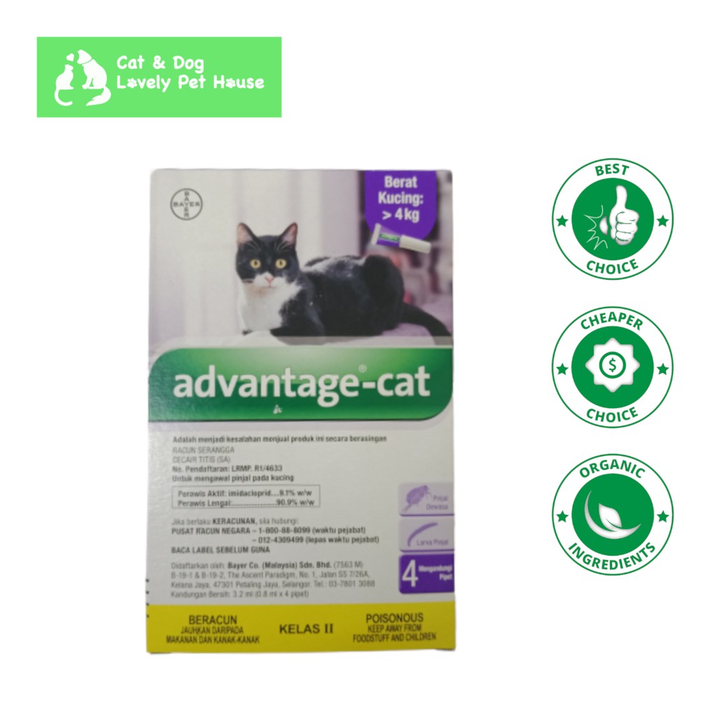 BAYER Advantage Cat u003e4Kg (Sepipet)  Shopee Malaysia