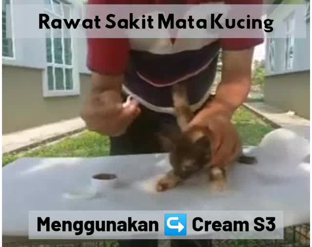 Set Sporo Spray F7 dan Cream S3 Natural Cats Spray Kucing Sporo Nanah